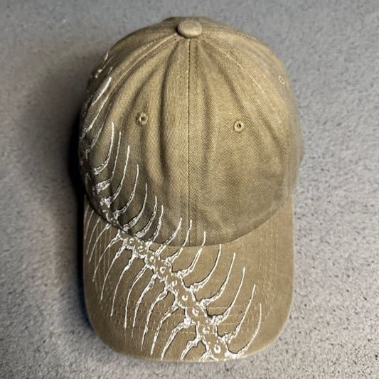 Desert Centipede