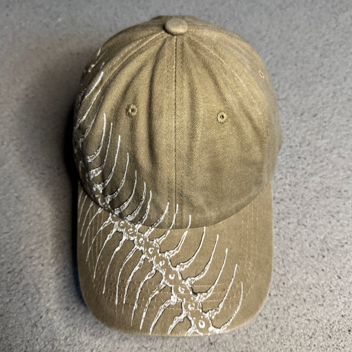 Desert Centipede