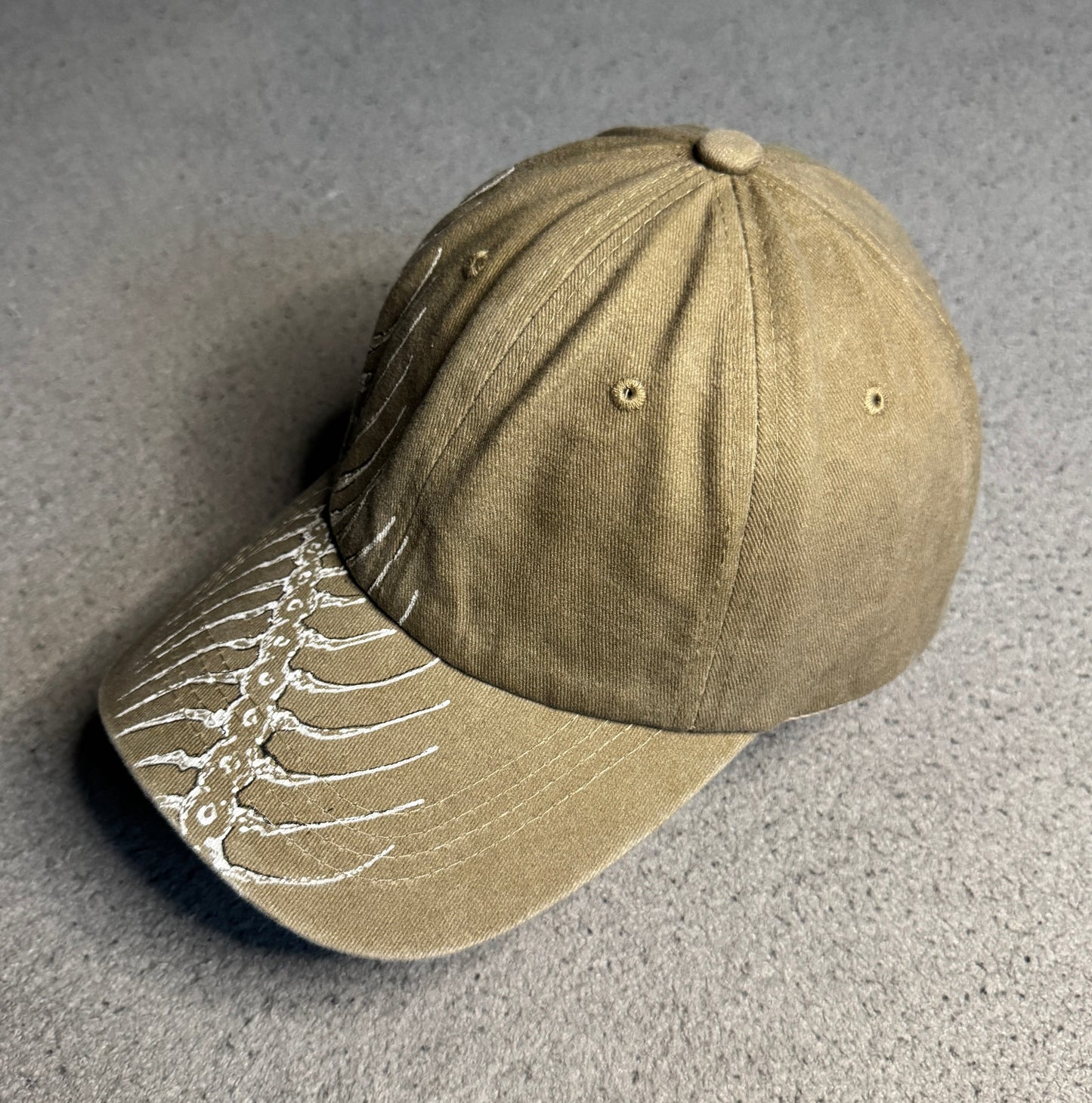 Desert Centipede